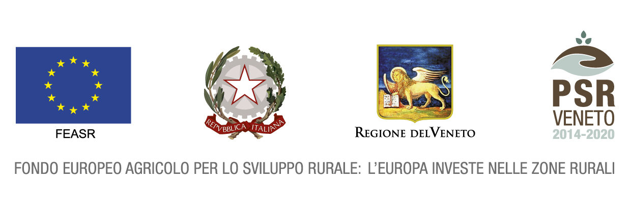 Loghi Regione Veneto